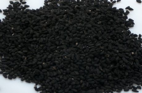 Nigella sativa