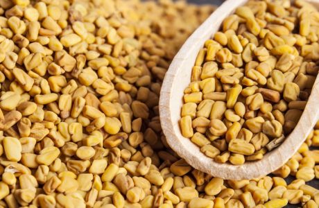 Fenugreek