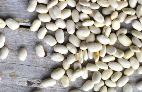 White beans seeds