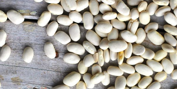 White beans seeds